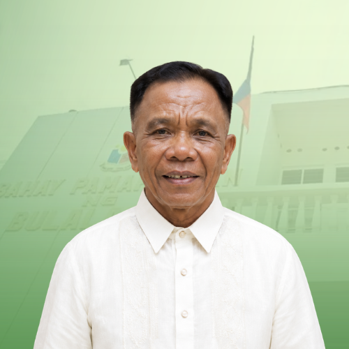 HON. NESTOR L. EGUILLON